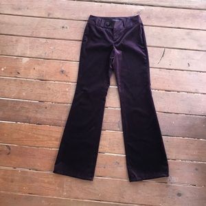Deep purple velvet Banana Republic Martin pants